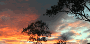 Grand lessons from a simple&nbsp;life