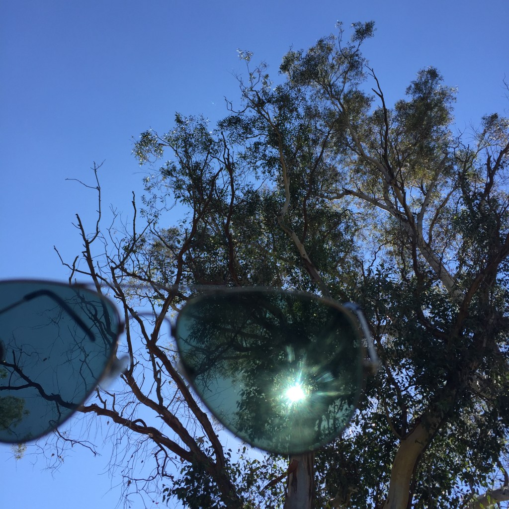 “What makes you an expert, Sir ?”